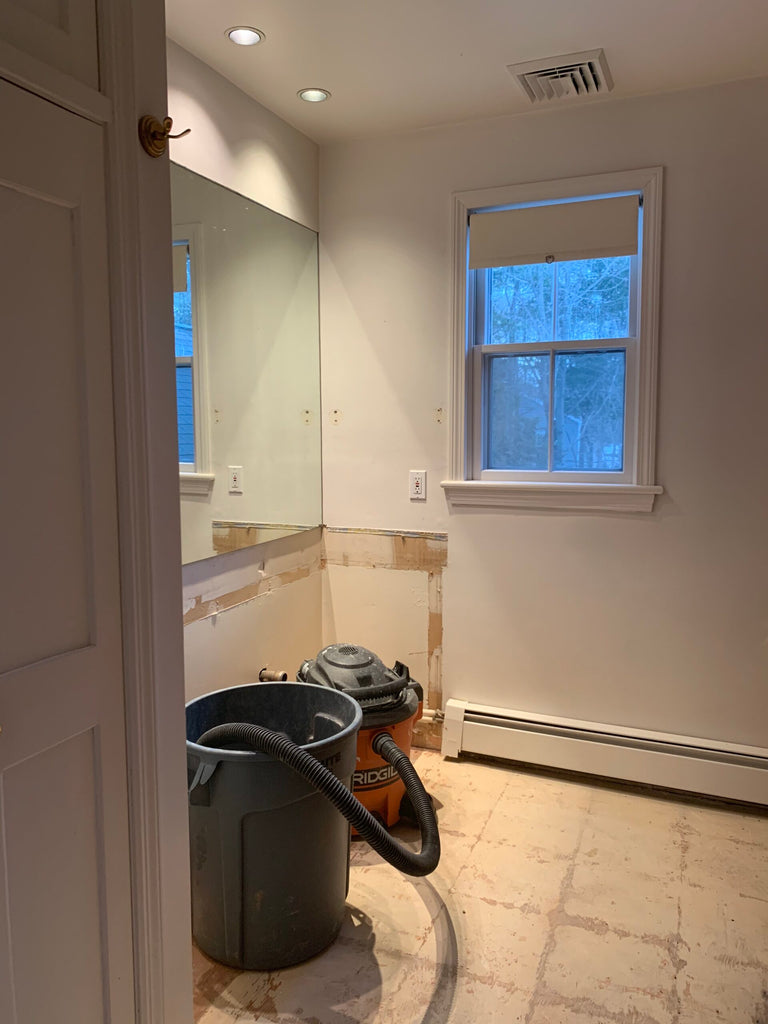 It’s been a couple weeks since I shared before pictures and plans for our hall bathroom so I wanted to share a progress update on what’s been done so far! We were lucky that the demo went really smoothly (you never know what you’re going to get in a...